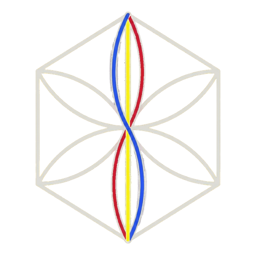Prana Vidya logo